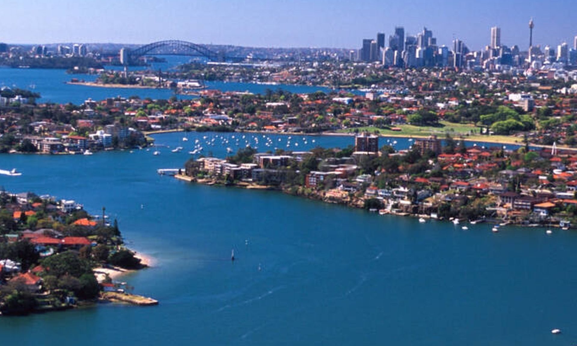 Cruise past lush mangroves and tranquil waters on Parramatta River.